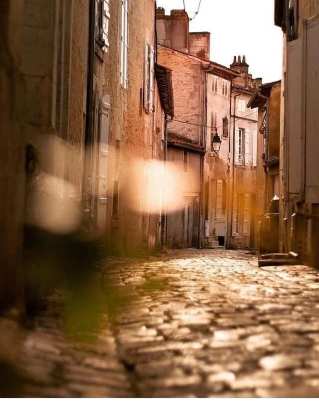 Le Douillet #Centre Ville #100M Des Quais Cognac Exteriör bild